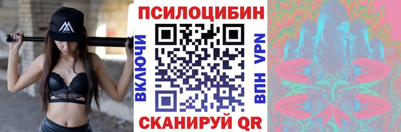 Псилоцибиновые грибы GOLDEN TEACHER  Пудож 
